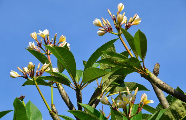 SEMINYAK ICON by Karaniya Experience - Foto 67