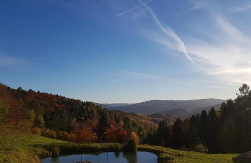 Siedlisko na Groniku - Foto 16