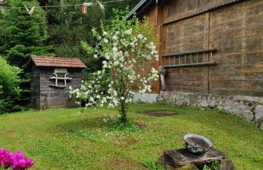 Dorina hiža - Foto 24