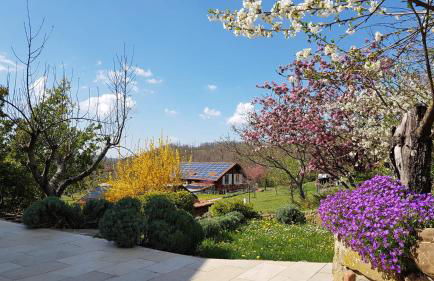 Agriturismo Fattoria Ca Di Sole - Photo 35