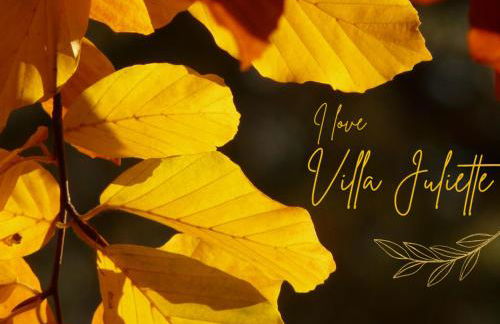 La Villa Juliette L'Etoile Filante Gite - Foto 17