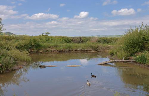 Yeabridge Farm - Foto 46