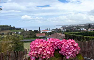 Casa da Fonte de Cima - Photo 22