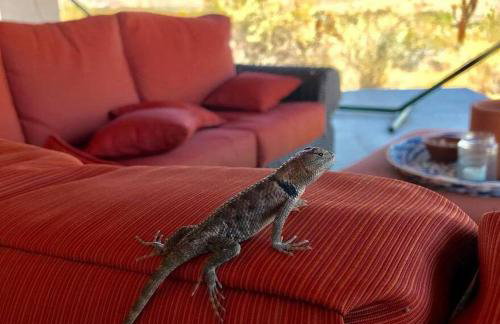 Steph's Panorama Paradise-Nat'l Park minutes away - Foto 19