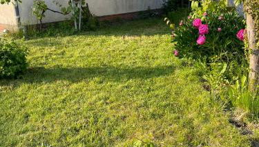 Der'is Wohlfühlhaus - Foto 4, Garden view