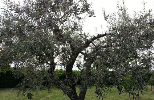 Domus Aurea - Foto 22