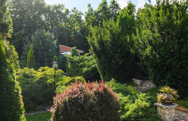 Luxury Green Oasis Villa With Pool! - Photo 9