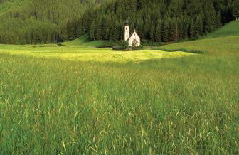 MiraOdle Apartments - Photo 41