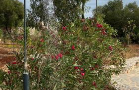 Luxurious villa at a unique spot - Foto 74