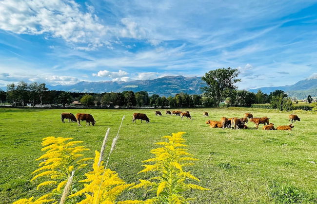 Residence Garni Untermoahof - Foto 23