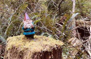 Perch - Ellie's Secret Cabin - Foto 47