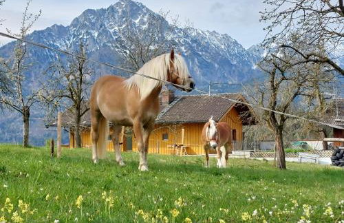 Fuchsbauernhof - Foto 22