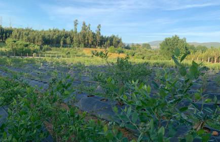 Quinta Vale Salgueiro - Foto 32