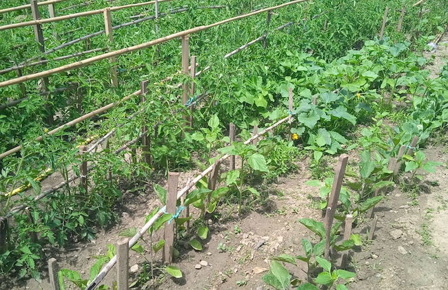 Holiday House Perkic mm - Photo 59