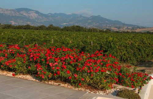 Tenuta Tre Gemme in Cantina - Suite Tre Gemme - Foto 19