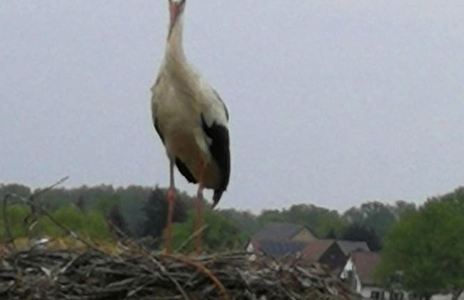Apartment With Sauna and Fireplace in Bautzen - Foto 16