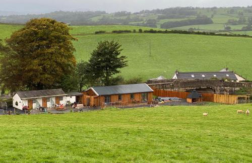 Newlands Farm Stables - Foto 5