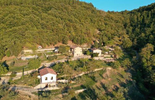 Villa Ancora Tenuta Lonciano - Foto 36