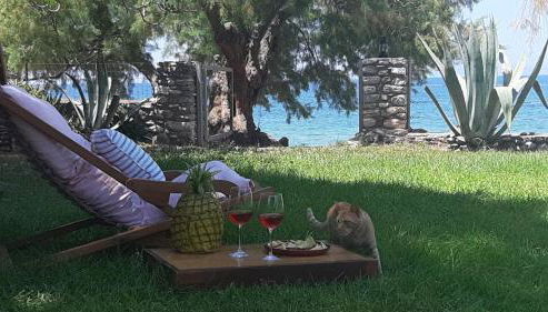 Malsova Studio - Foto 5