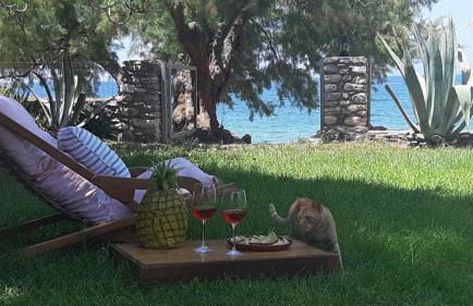 Malsova Studio - Foto 5