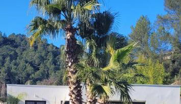 M-A Cottage Piscine - Foto 4