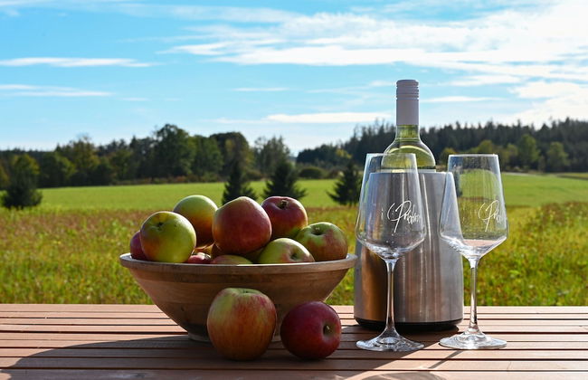 Tiny House in Kleinschoenau in the Waldviertel - Foto 20