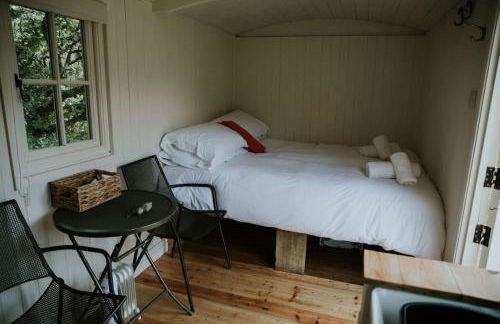 Snowdonia Shepherds Hut + Hot Tub - Foto 16