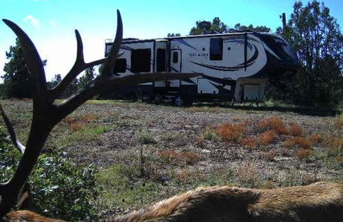 Old Raton Pass Base Camp Cabin with Loft Northern New Mexico Mountain Ranch on Colorado Border cabin - Foto 19