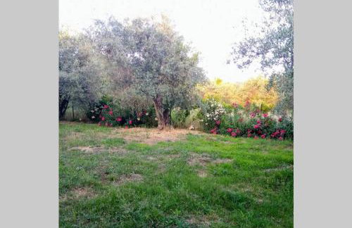 Irinis Cottage - Foto 24