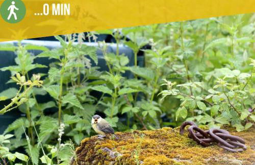 Gîte écologique proche Rocamadour & Gouffre de Padirac Vue vallée Dordogne - Foto 2