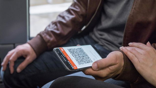 Swiss Travel Pass - Ticket - Foto 5