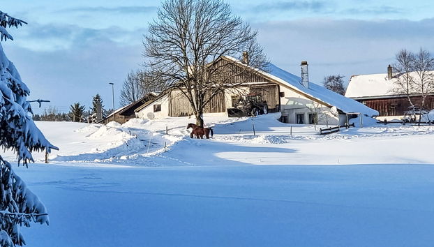 Les Grangettes - Foto 2, House