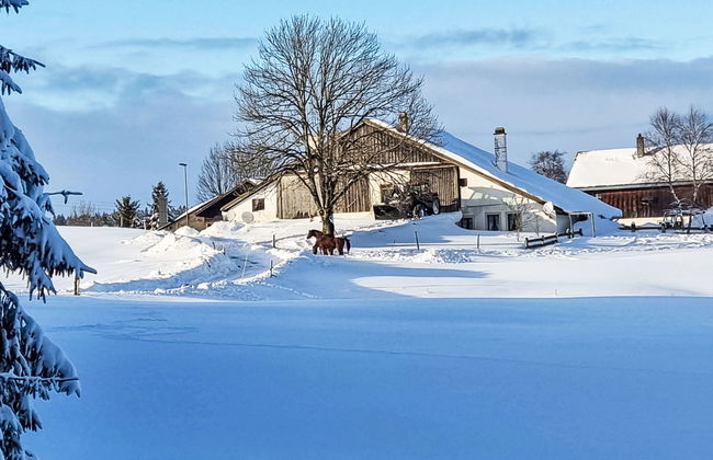 Les Grangettes - Photo 2