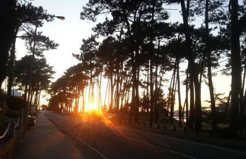 Cabedelo Beach House - Foto 24