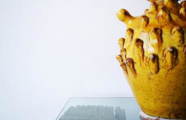 Gallo Fino - Foto 47