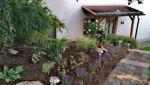 Fewo Storchenschnabel - Foto 3, Garden