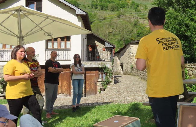 Visita a una granja de abejas con degustación de miel - Foto 9