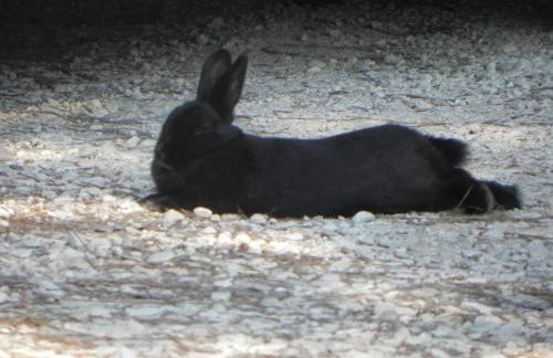 Caterina Residence - Foto 29