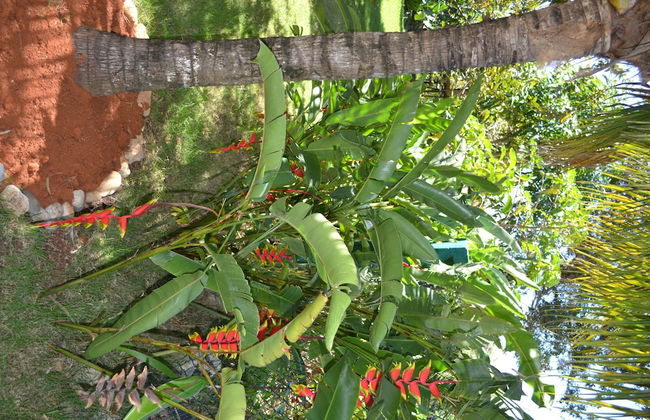 Apartments with Balcony in the Villa, Pool - Foto 19