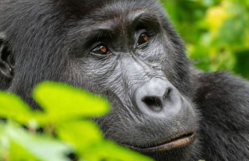 LaCartePostale - Foto 26