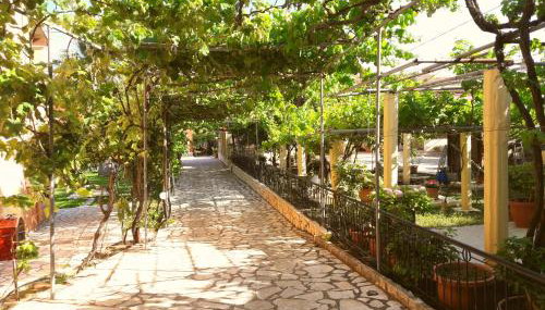 Bungalows Niki - Foto 5, Garden