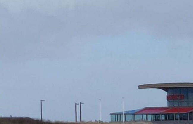 D Wilting in the House - Foto 13