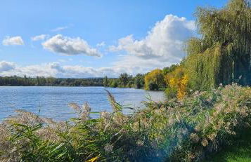 Vue sur le lac - Foto 16