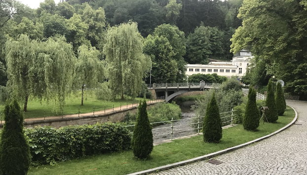 Slunecni lazne - Foto 3, Jardim