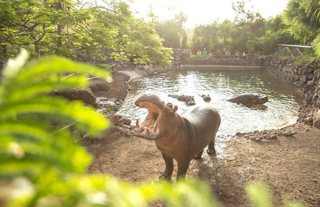 Ingresso do Oasis Wildlife Fuerteventura - Foto 3