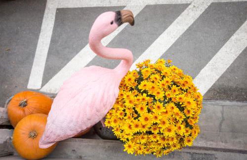 L'8 Boutique Concept Apartments - Photo 85