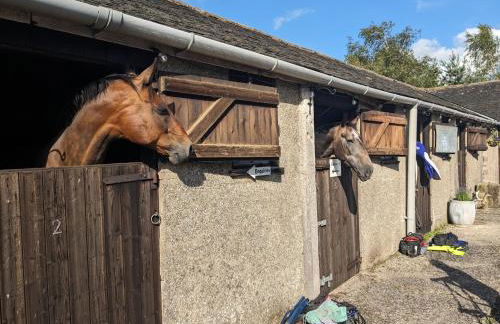 The Coach House at Brackenthwaite Farm - Photo 33