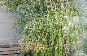 Stylish & Spacious! A Victorian House in Zone 1! - Foto 16