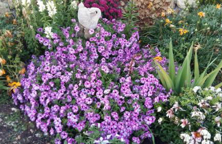 Da Mario & Marianna - Foto 66