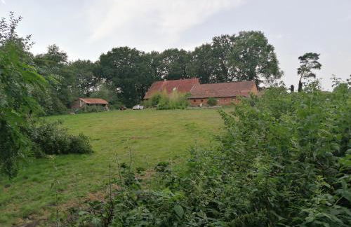 Landhaus SiebenEichen - Foto 51